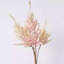Blush Astilbe-2071216652-2071216666