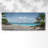 " Down In Mexico "-955130807