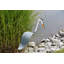 Art de jardin great héron