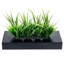 23cm Faux Onion Grass Grass in Wood Planter