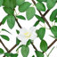 Ceretha Lattice Panel-257825270