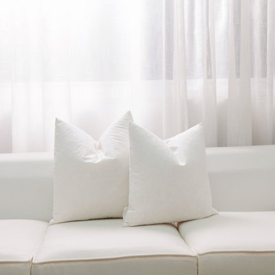 Pillow Insert