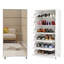 Armoire à chaussures à miroir avec 6 tiroirs rabattables, étagère à chaussures à miroir avec 4 pieds en métal