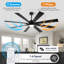 Ceiling Fan