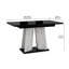Extendable Dining Table Alekzander-1532146473