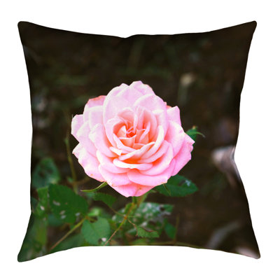 Coussin euro rose