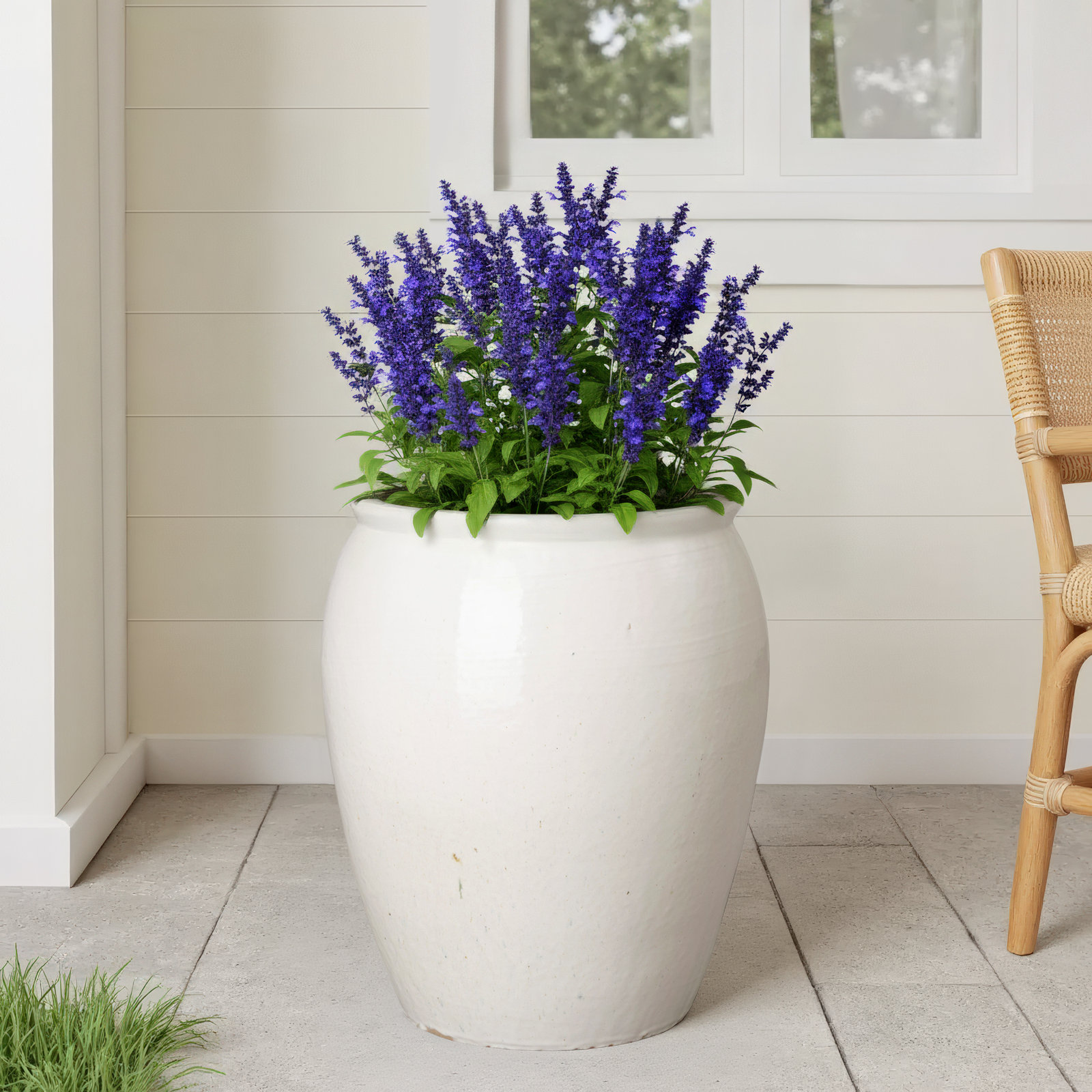 Proberta Ceramic Pot Planter, 30" H x 23.5" W x 23.5" D, White