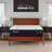 TEMPUR-Adapt® Medium Hybrid 11" Mattress-98873722