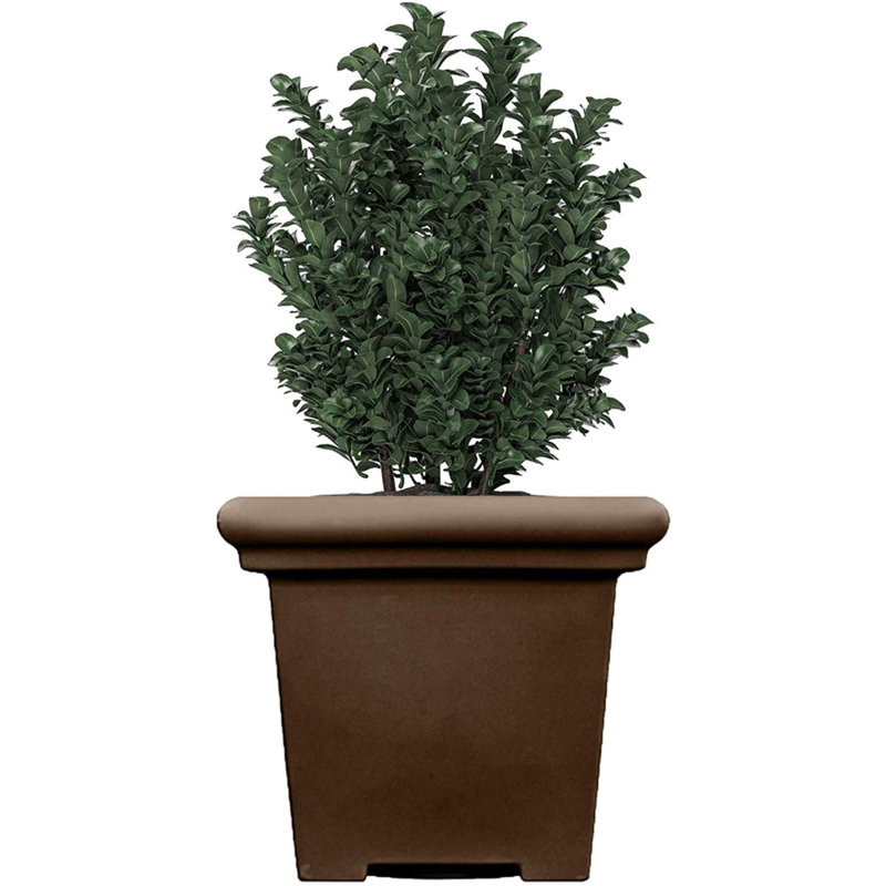 Ketzia Pot Planter, Chocolate