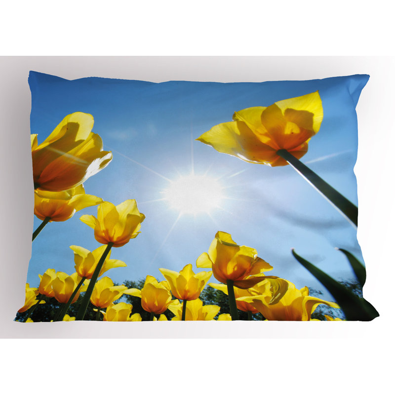 Ensemble de 2 taies décoratives tulipe Ambesonne Field Summer Blooms 26 po x 20 po vert jaune bleu