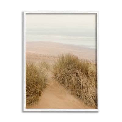 " Sun Bleached Beach Coast Tall Grass Sand Dunes " Color Photography Print