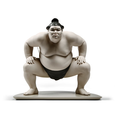 Sumo Fighter