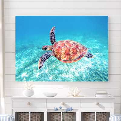 Mahesh " Sea Turtle Fly "