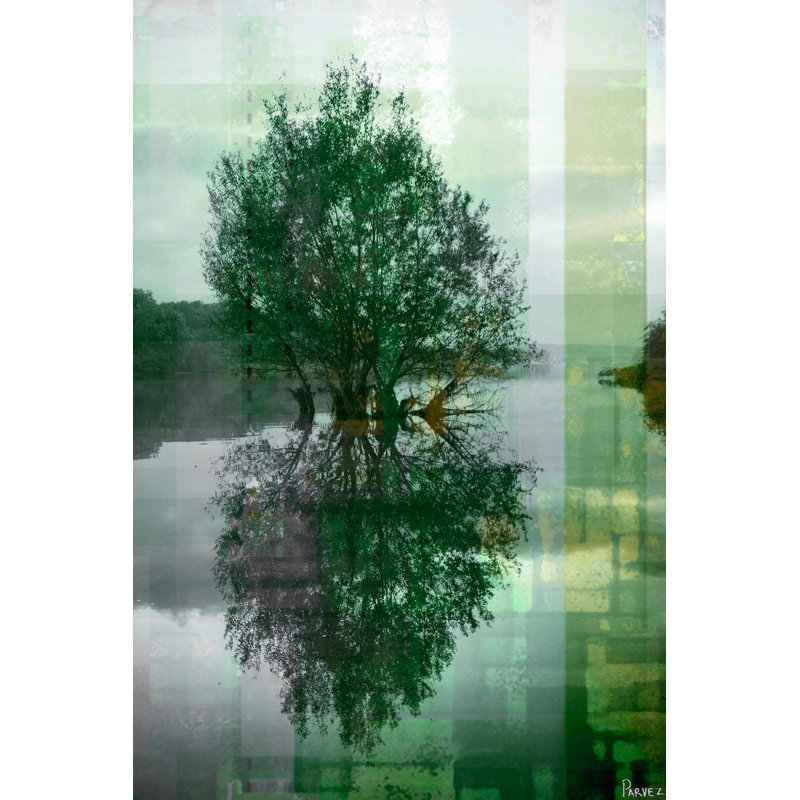 Parvez Taj - Wrapped Canvas Print, 45cm H x 30cm W x 5cm D