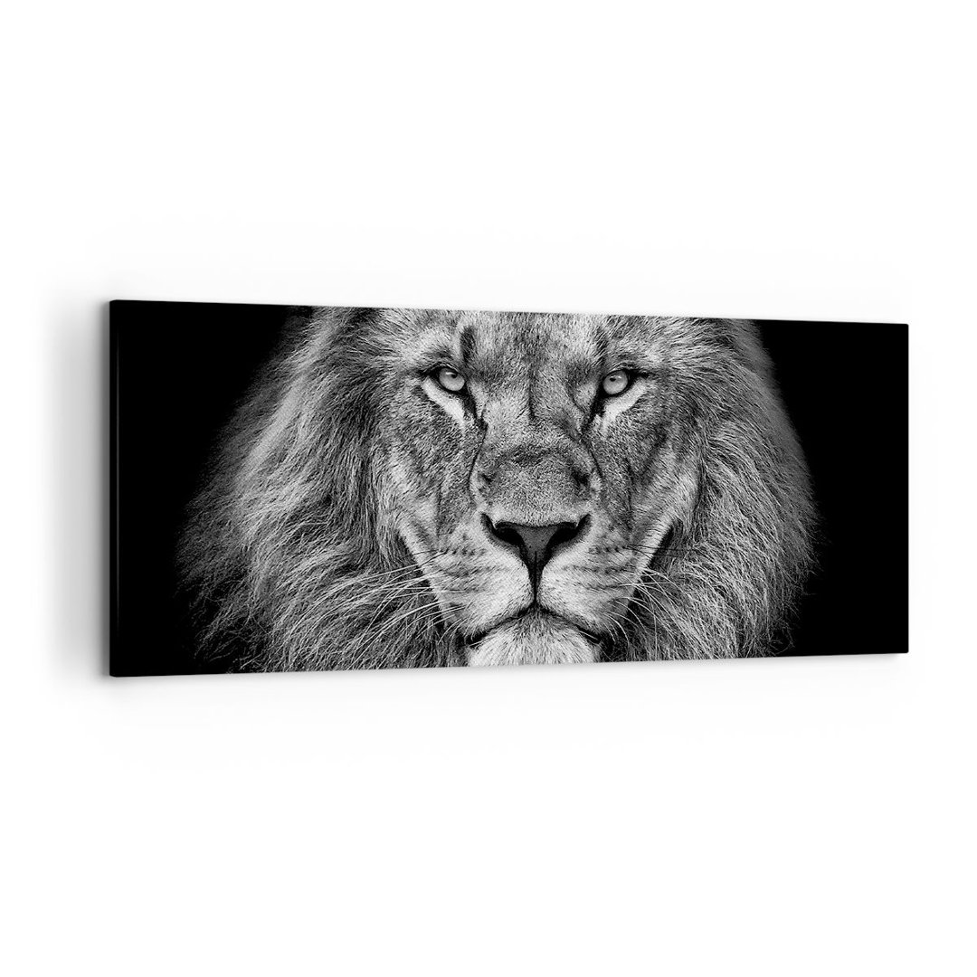 Leinwandbild Portrait Lion Black and White