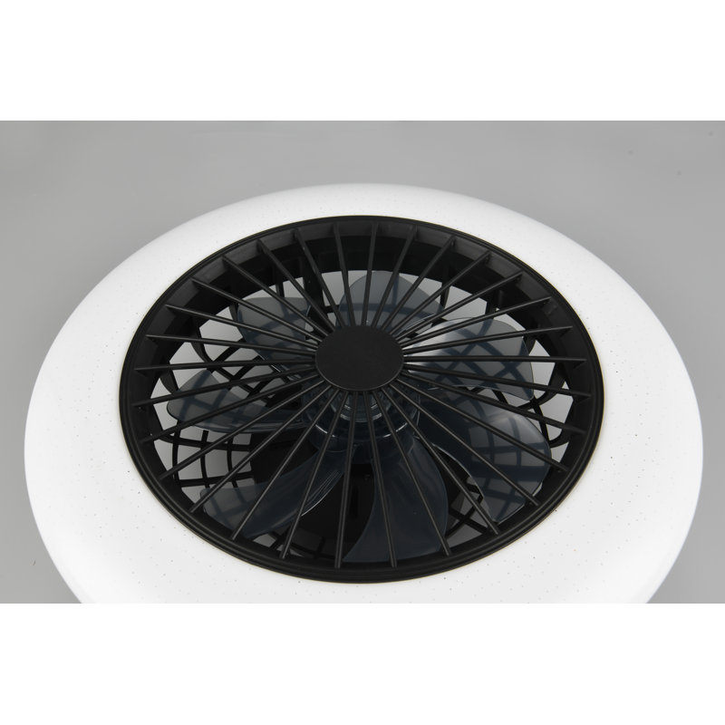 Ehrentraud 50cm Ceiling Fan with LED Lights, Black