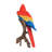 Macaw Statue-18361895