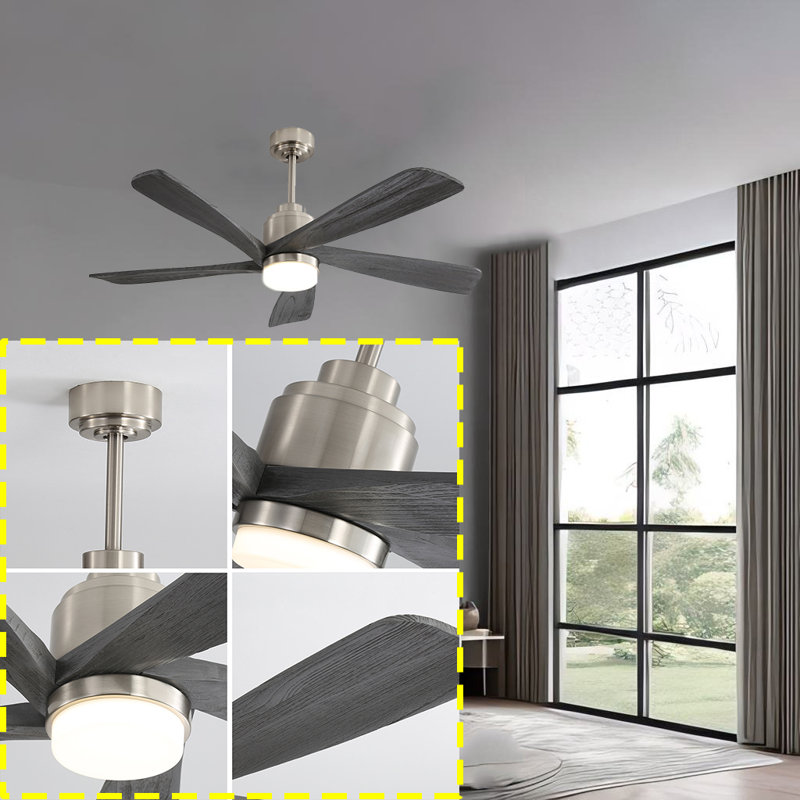 Loewus 52'' Ceiling Fan with LED Lights