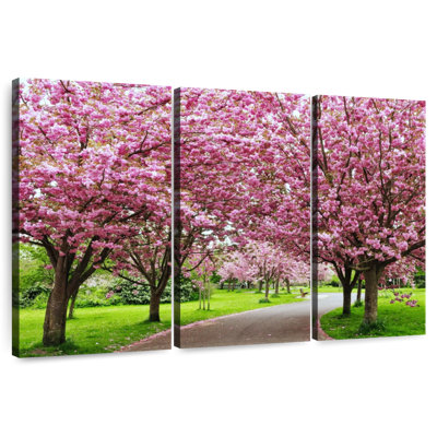 Harnek Cherry Blossom Garden Path
