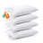 PL Down Alternative Plush Pillow-96323188