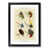 Black Framed selected