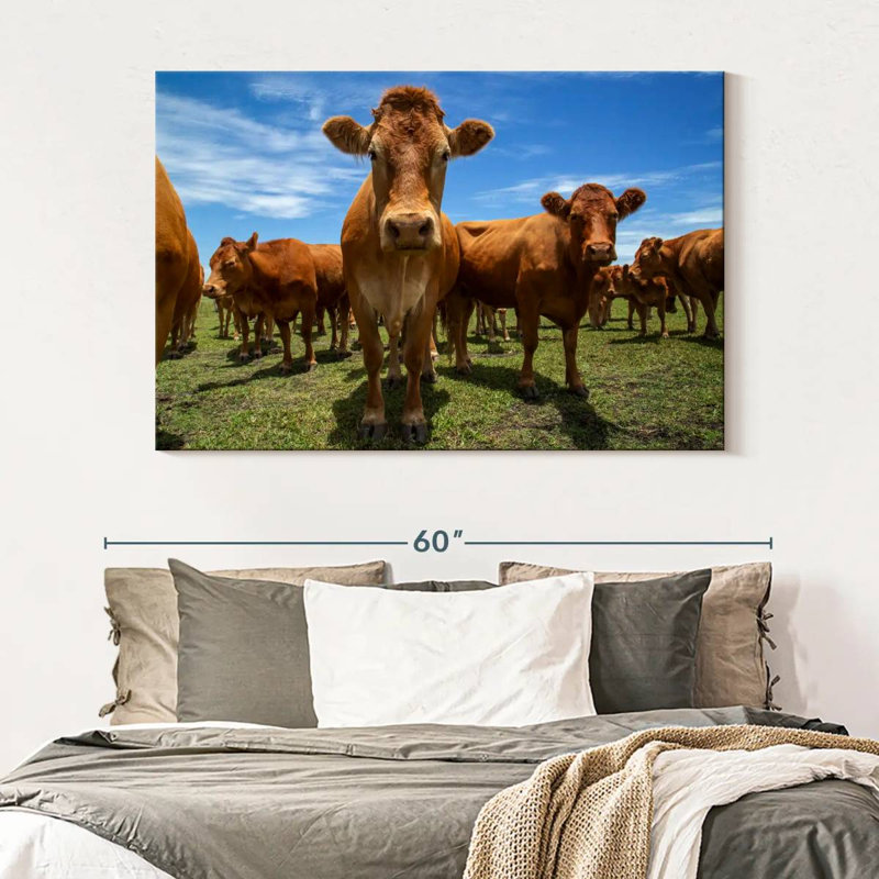 Crowle Gathering Beef Cattle, 34" H x 51" W