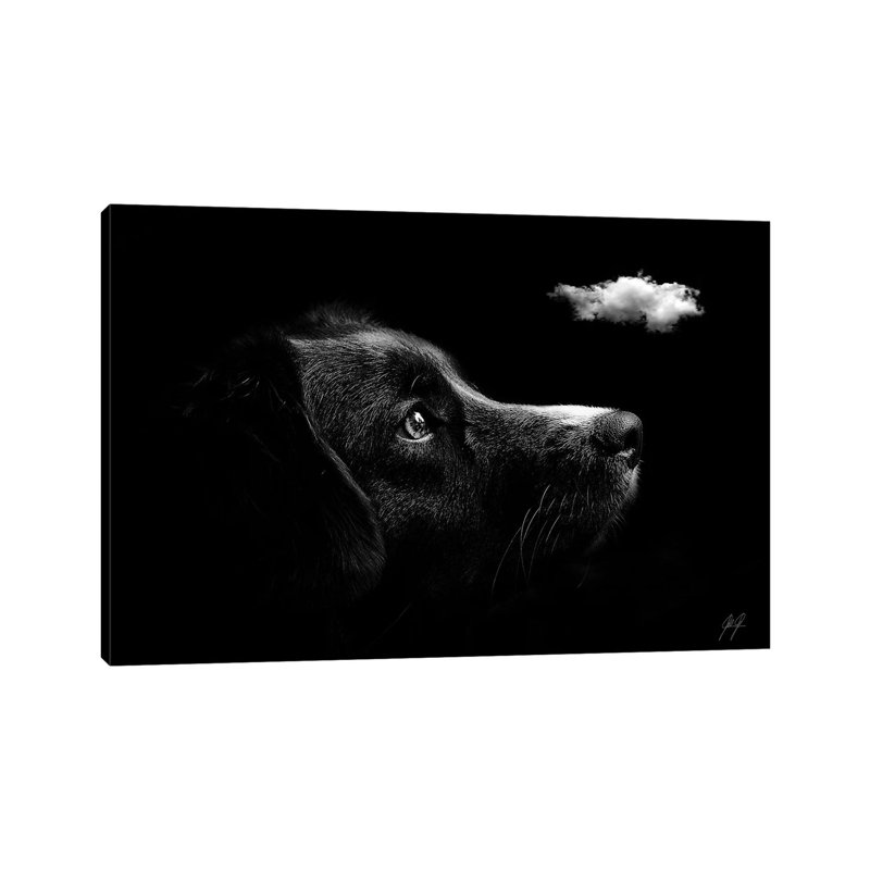 Discovering I by Kathrin Federer - Wrapped Canvas Print, 20.32 cm H x 30.48 cm W