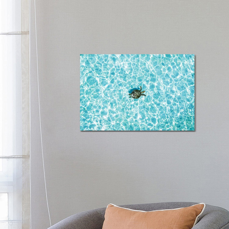 Aerial Turtle Calm Turquoise Water by James Vodicka - Wrapped Canvas Gallery-Wrapped Canvas Giclée, 45.72cm H x 66.04cm W