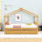 Ashiyah Full Storage Canopy Bed with Two Drawers -299420362