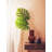 Fiori 24cm Faux Succulent in Ceramic Pot