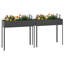 Ashvini Metal Raised Garden Bed