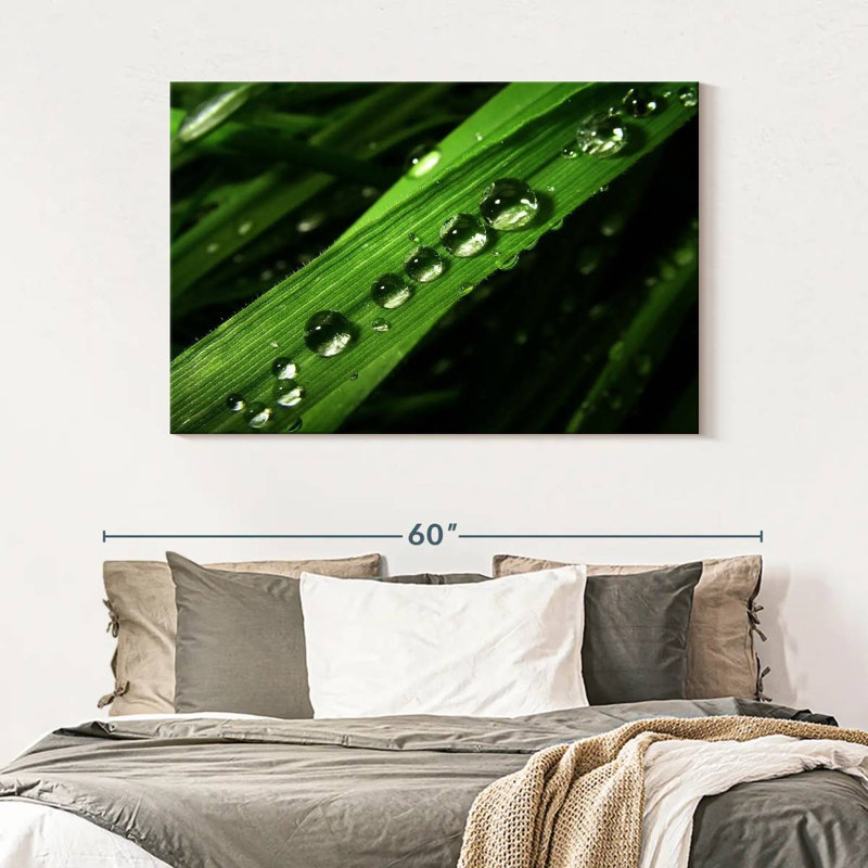 Harnek Water Drops On Leaf, 32'' H x 48'' W