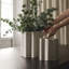 Vase de table Sandborn-1311679925