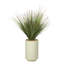 4.5' Onion Grass in Rainey Planter