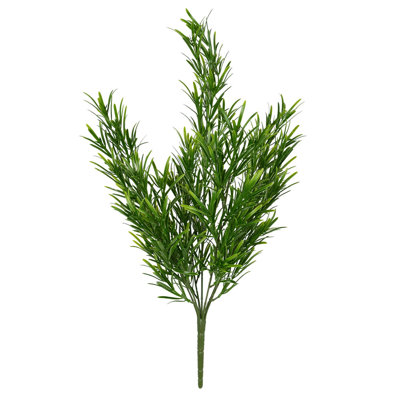 Arbustes podocarpus