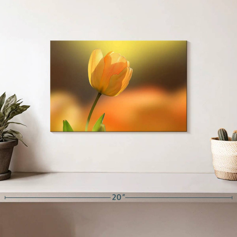 Tulipe jaune Harnek, H 8 po x l 12 po
