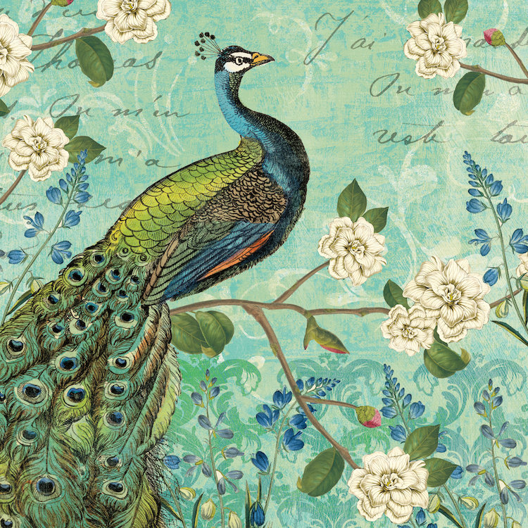 Peacock Arbor V, impression sur toile tendue, H 26 po x l 26 po x P 1,5 po, Toile tendue, Pas de tapis