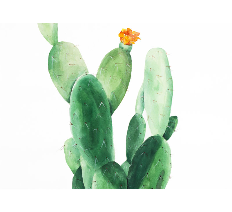 Aquarelle, pagaie, cactus avec fleur - décor de toile exotique