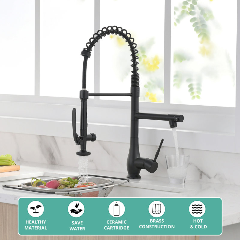 Fapully Pull Down Kitchen Faucet