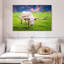 Longhorn Brampt blanc-108158194