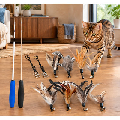 Aucune teinture chimique n'est utilisée dans cet ensemble de jeu de plumes d'intérieur, qui comprend une baguette pour chat et des recharges de plumes naturelles.