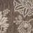 Rectangle Petroni Floral Polypropylene Indoor/Outdoor Area Rug in Brown/White-53130404