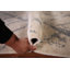 Tapis abstrait en laine fait à la main 5 x 8 po