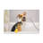 Cute Mongrel Bath Canvas Wall Art-1789365080