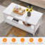 Table basse moderne avec tablette de rangement