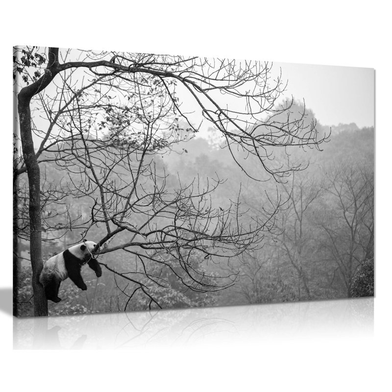 Panda Relaxing On A Tree Wildlife - Wrapped Canvas Print, 61cm H x 91cm W x 1.8cm D