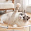 Polyester Pet Bed