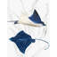 Toile tendue avec châssis Rosecliff Heights Wilson, Aimee, Blue Stingray II-2117519419