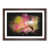 Walnut Framed selected