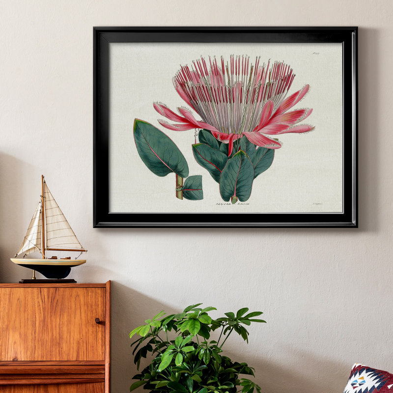 Protea N17 - Peinture sur toile encadrée, Cadre noir, H 30,5 po x l 42,5 po x P 1 po